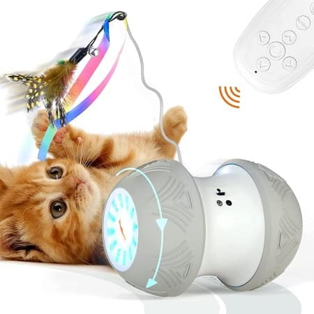 Best remote control deals cat toy