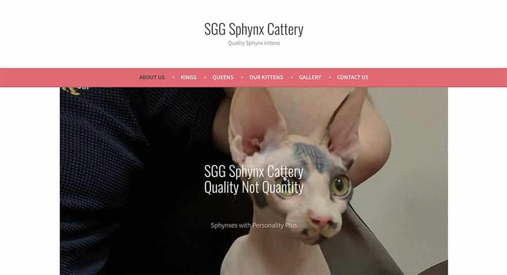 SGG Sphynx Cattery