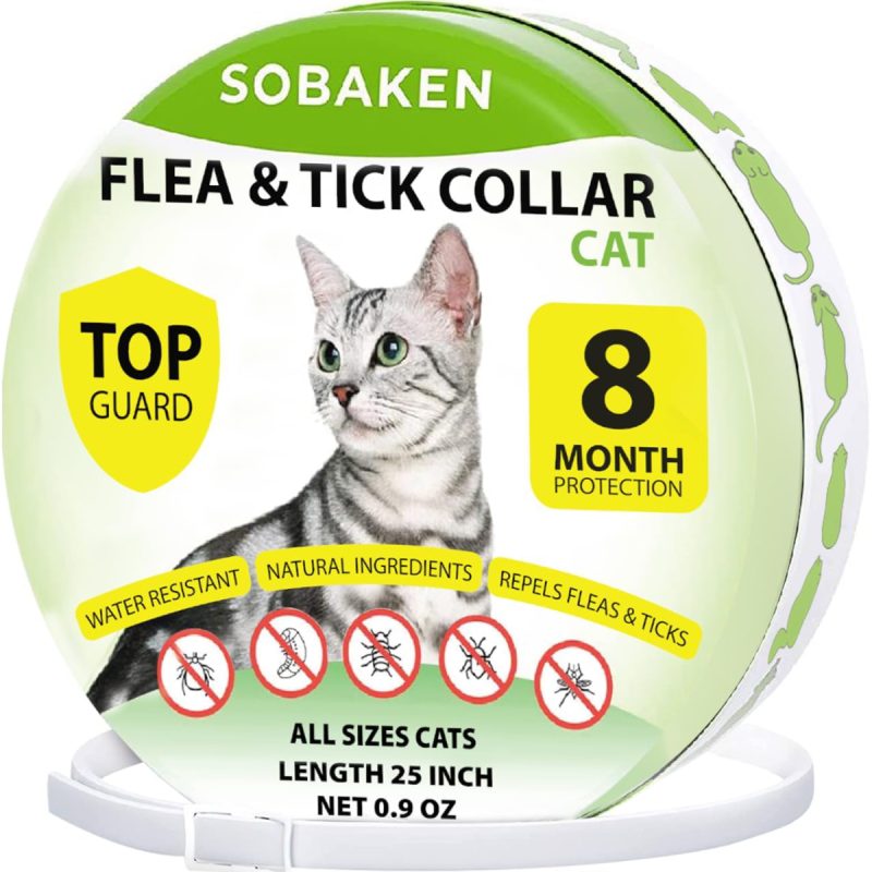 10 Best Flea Collars for Cats in 2024 Reviews & Top Picks Catster