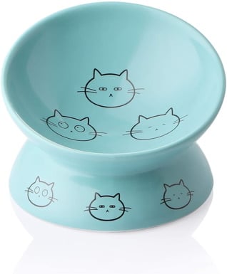 SWEEJAR Raised Cat Bowl