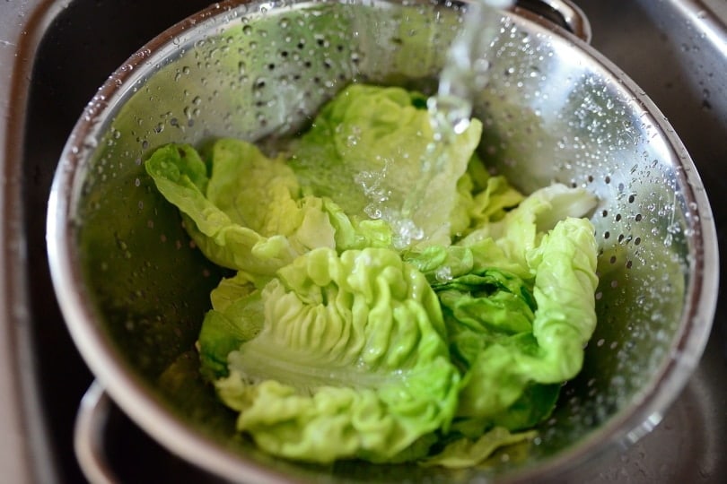 Salad greens being washed in steel basin