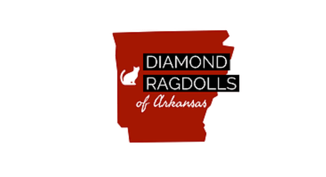 diamond ragdolls