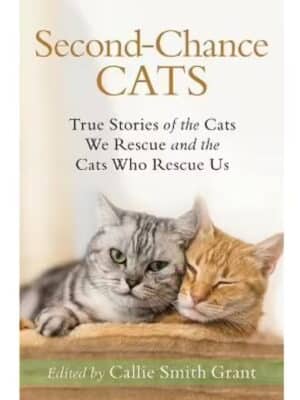 Second-Chance Cats True Stories of the Cats We Rescue and the Cats Who Rescue Us
