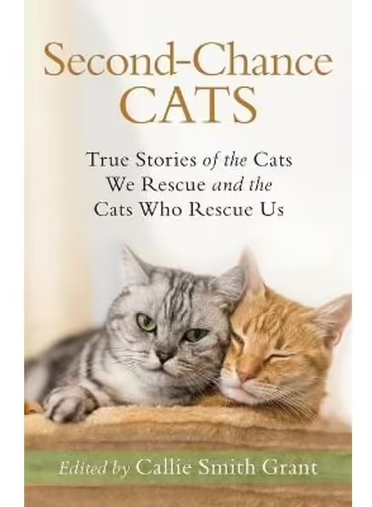 Second-Chance Cats True Stories of the Cats We Rescue and the Cats Who Rescue Us