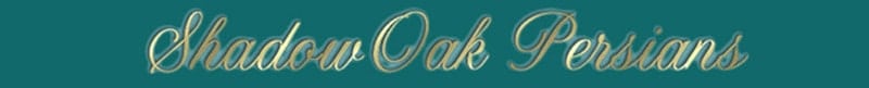 Shadow Oak Persians logo