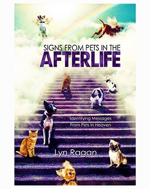 Signs From Pets In The Afterlife