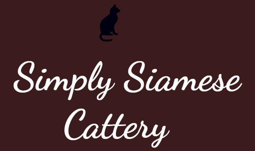 Simply Siamese Cattery
