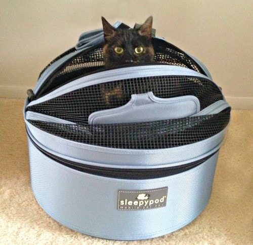 How To Find The Best Cat Carrier For Your Feline