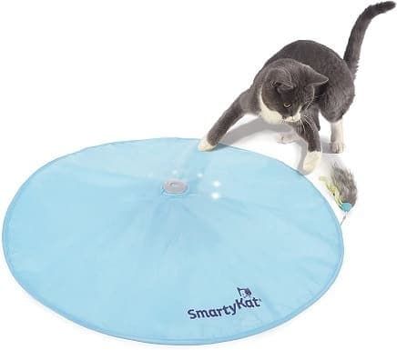 SmartyKat-Electronic-Concealed-Motion-Cat-Toy-1