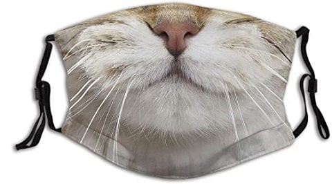 Smile Cat Cloth Face Mask