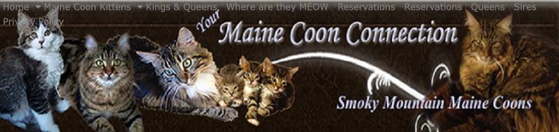 Smokey Mountain Maine Coons