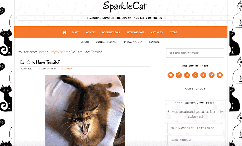 SparkleCat blog