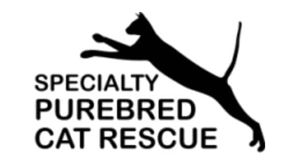 Specialty Purebred Cat Rescue logo