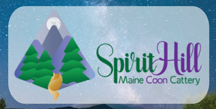 Spirit Hill Maine Coon Cattery logo