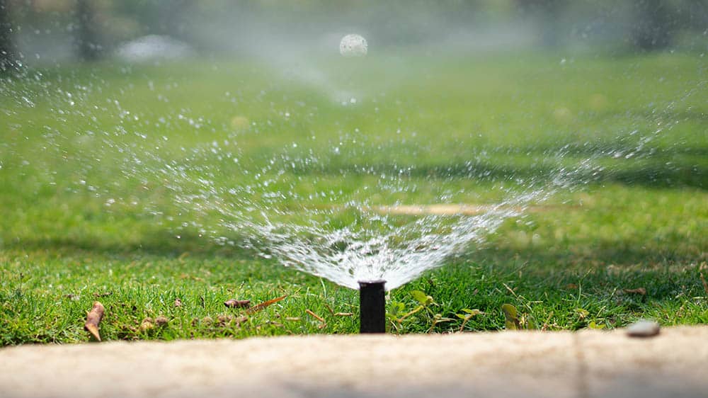 Sprinkler in garden