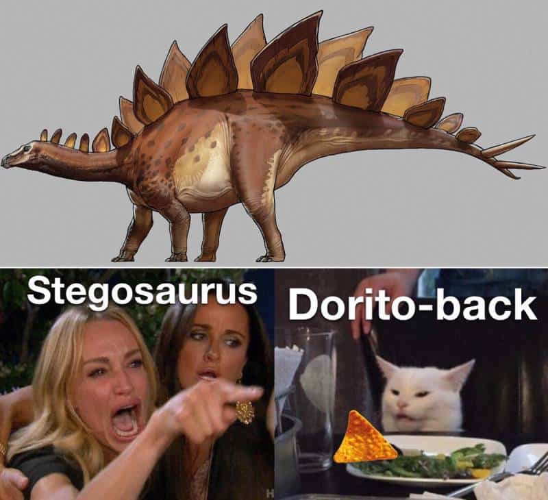 Stegosaurus