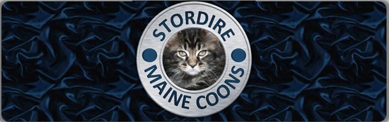 Stordire Maine Coons logo