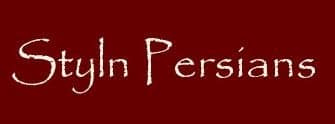 Styln persians logo