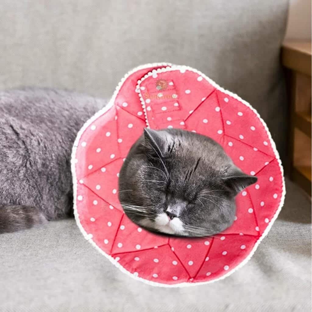 SunGrow Post-Surgery Soft Cone Dog & Cat Recovery Collar