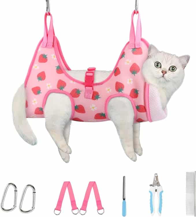 6 Best Cat Harnesses of 2024 - Reviewed