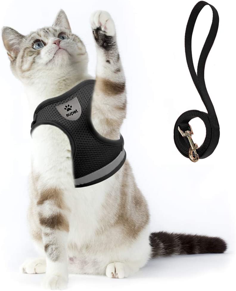 Supet Cat Harness and Leash Set