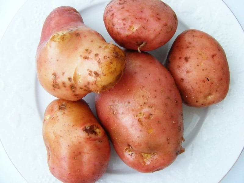 Sweet Potatoes on Plate