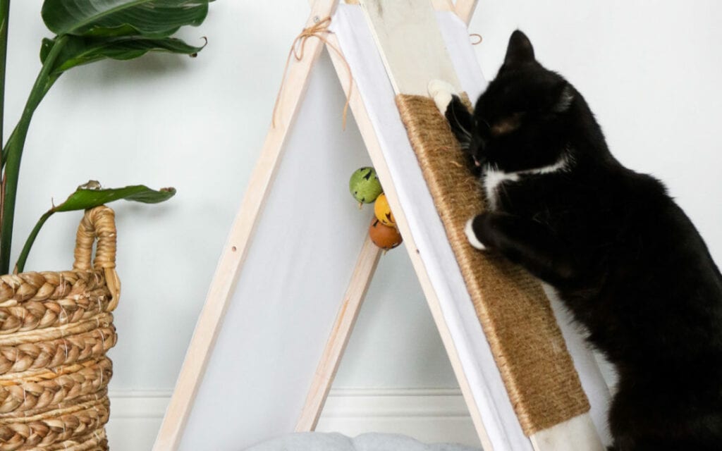 TV Tray Bed and Scratching Post Combination by lilyardor