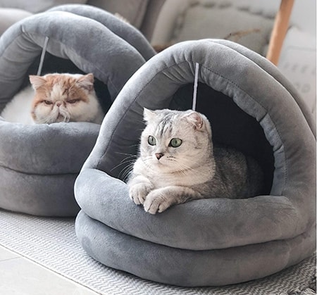 Tempcore Cat Bed For Indoor Cats