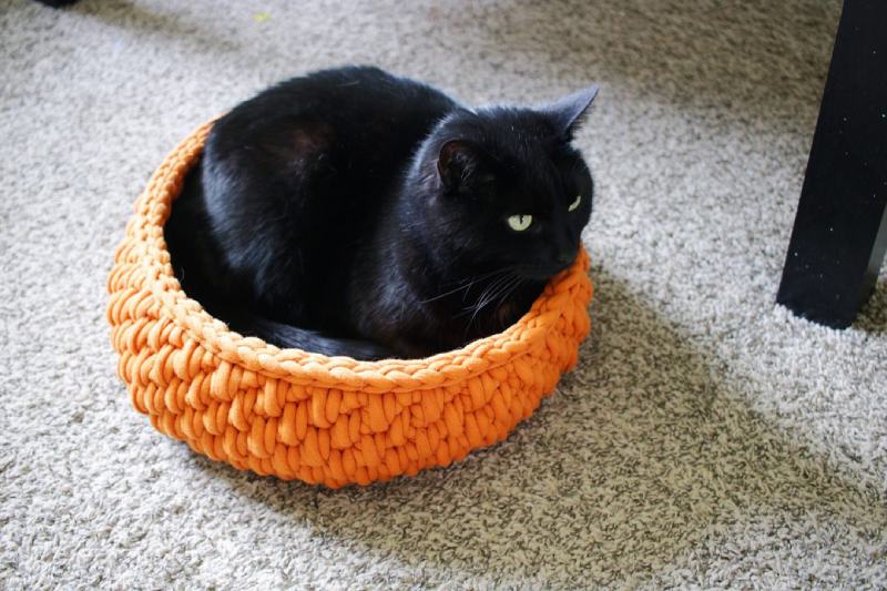 The Big Little Pet Bed, a Round Cat Bed made with Jumbo Yarn