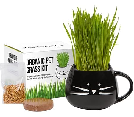 The Cat Ladies Organic Pet Grass Grow Kit with Planter