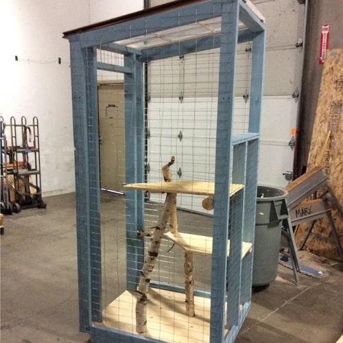 The Mini Catio by ReStore