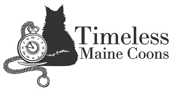 Timeless Maine Coons logo