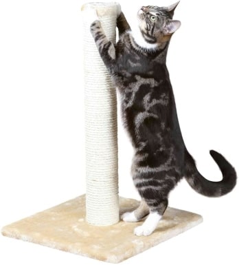 Trixie Pet Products Parla Scratching Post