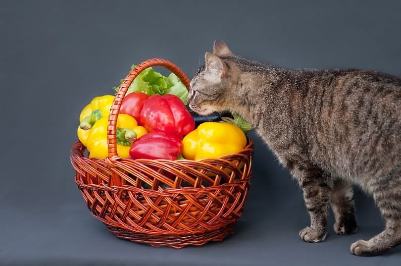 Vegetables-in-basket_Elina-Leonova_shutterstock