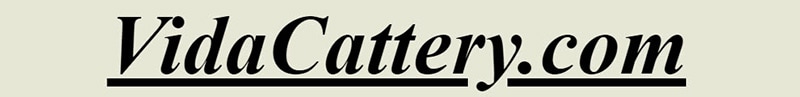 Vida Cattery logo