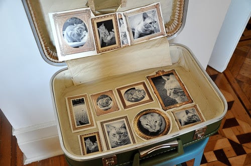 Vintage Suitcase Pet Bed by Brooklyn Limestone