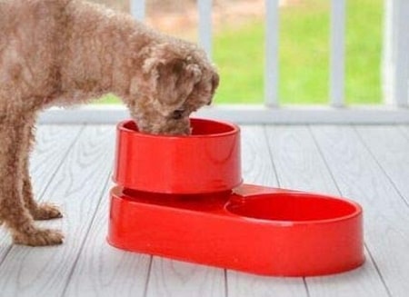WDD 3-in-1 Ant Free Pet Dish