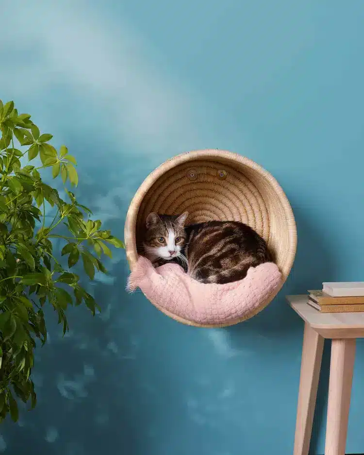 Wall Hanging Cat Bed by Martha Stewart