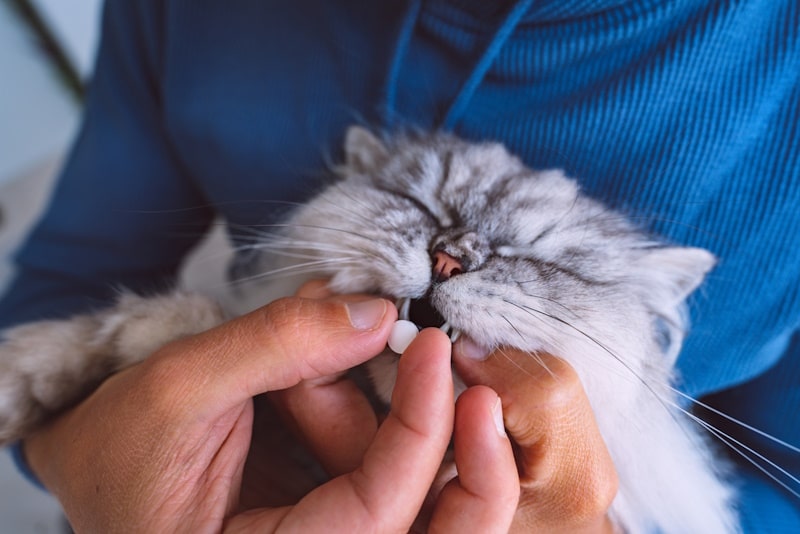 Woman giving medicine to sick cat