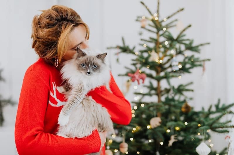 Woman-hugging-a-cat-beside-a-christmas-tree