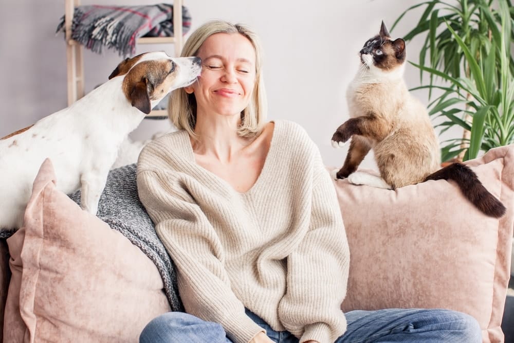 Woman on couch with cat and dog