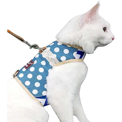 Yizhi Miaow Cat Harness and Leash