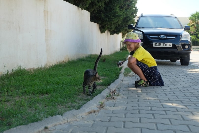 Young girl playing with cats