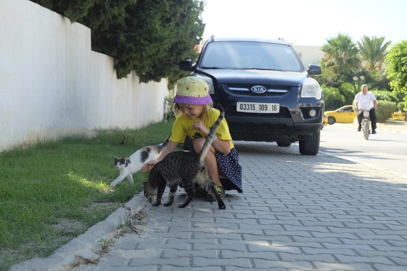 Young girl playing with cats