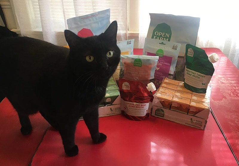 a black cat and open farm cat foods on the table