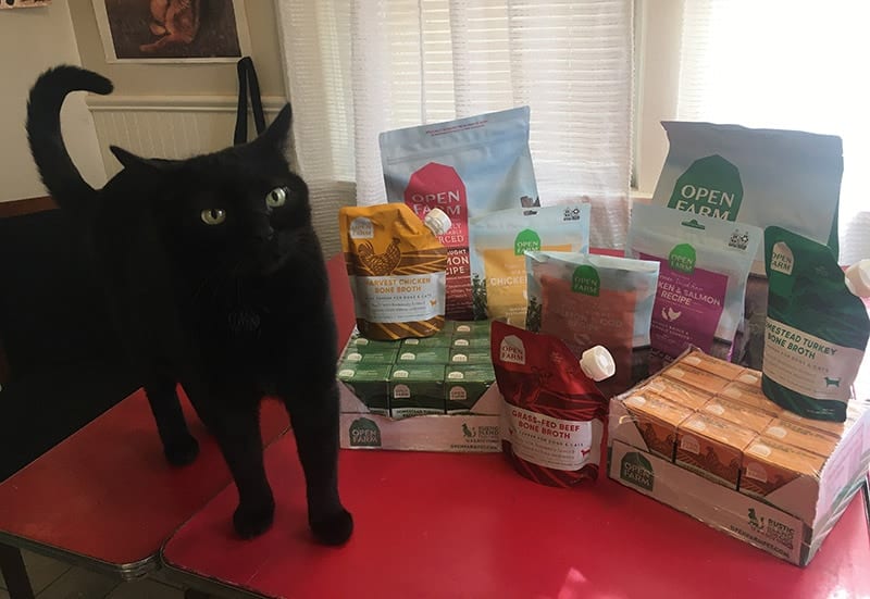 a black cat standing near open farm cat foods