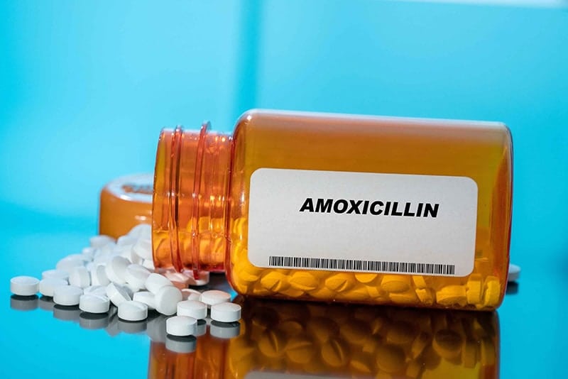 a bottle of Amoxicillin tablets spilling out
