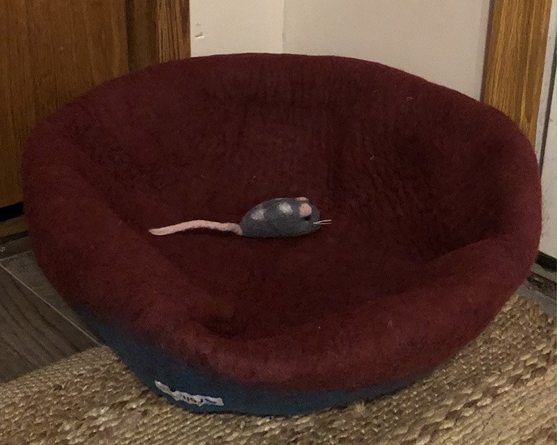 a mouse toy on aquamarine feltcave