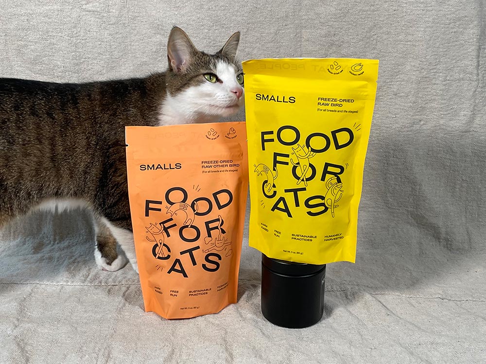 a tabby cat sniffing smalls freeze-dried raw recipes