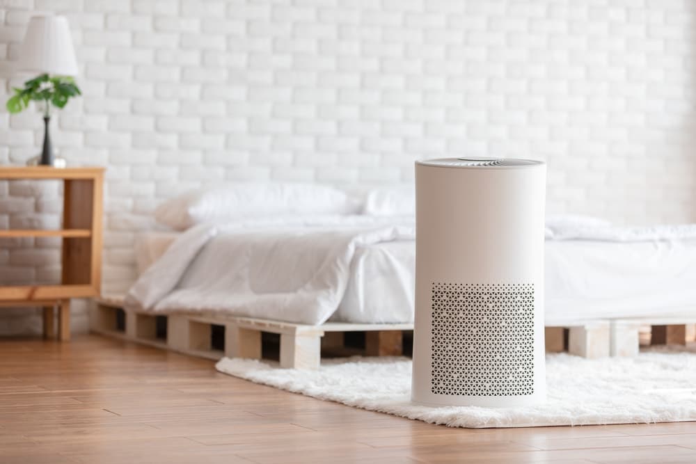 air purifier in living room